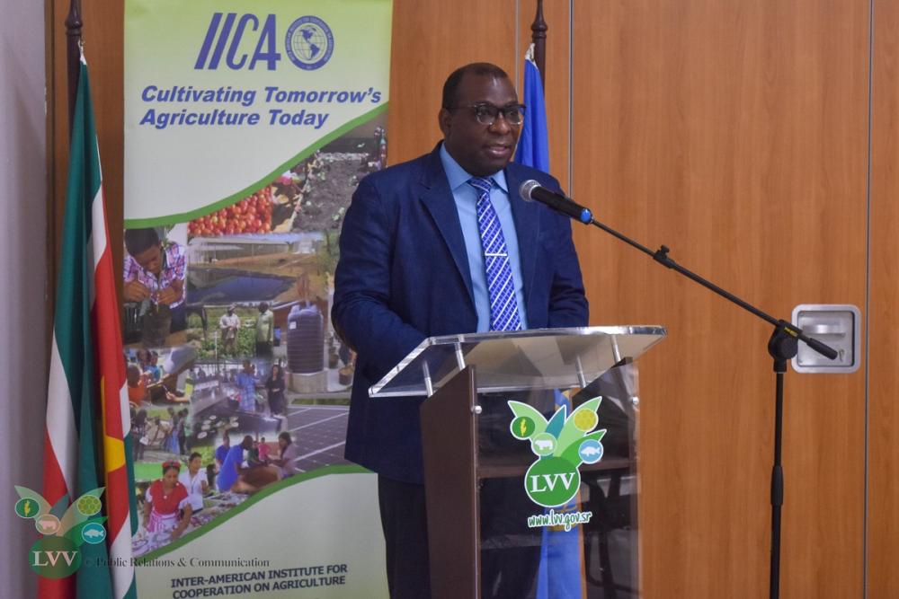 Representative in Suriname,