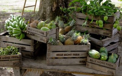 Belle Mont Farm at Kittitian Hill