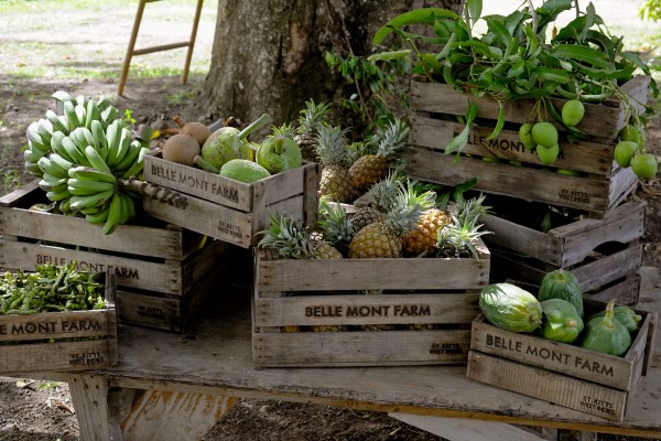 Belle Mont Farm at Kittitian Hill