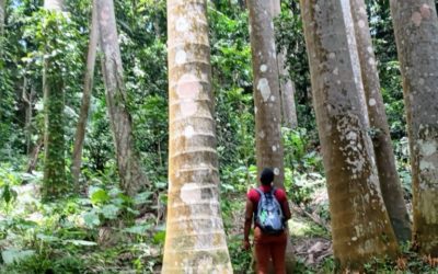 Exploring Barbados’ Sustainable Agritourism Potential