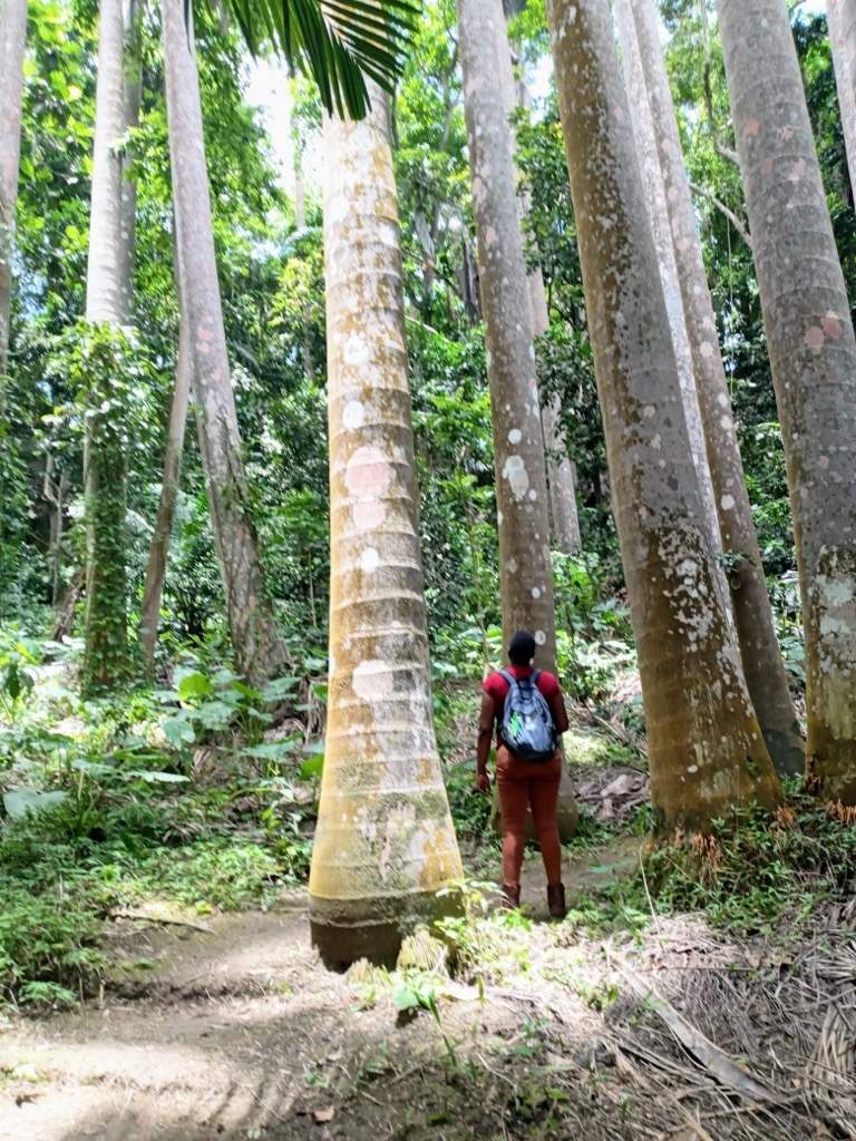 exploring-barbados-sustainable-agritourism-potential