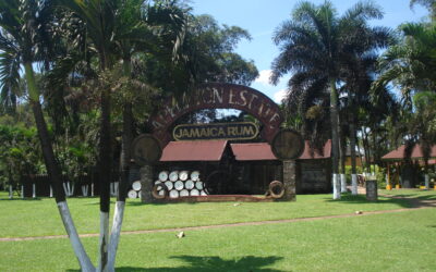 Sun Valley Plantation 